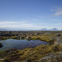 2014-07-08 11-51-12