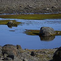 2014-07-08 12-14-38