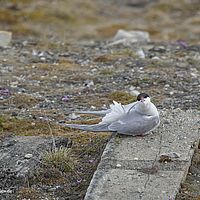 2014-07-02 16-28-45