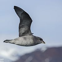 2014-07-02 18-02-49