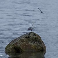 2014-07-03 11-03-35