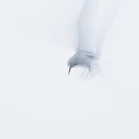 2014-07-03 12-32-33