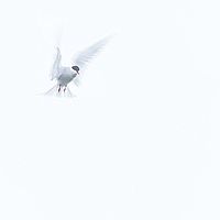 2014-07-03 12-47-36
