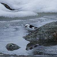 2014-07-03 15-11-01-2