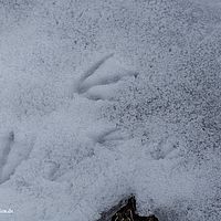 2014-07-05 10-08-40