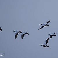 2014-07-05 22-13-47