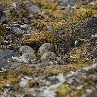 2014-07-06 11-19-29