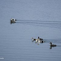 2014-07-06 11-29-52