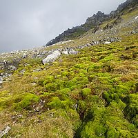 2014-07-12 10-50-56