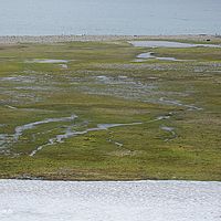 2014-07-12 12-16-36