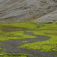 2014-07-14 17-40-09