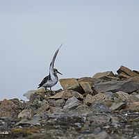 2014-07-06 12-09-10