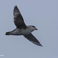 2014-07-06 15-32-41