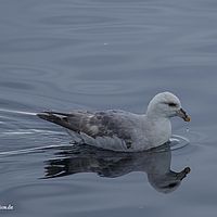 2014-07-07 08-12-57