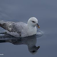 2014-07-07 08-13-38