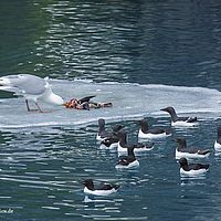 2014-07-07 10-12-57