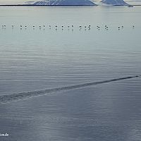 2014-07-07 12-04-50