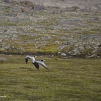 2014-07-08 12-02-14