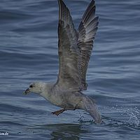 2014-07-08 21-36-55