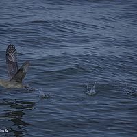 2014-07-08 21-39-44-4