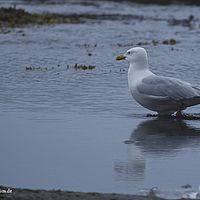 2014-07-10 18-36-51
