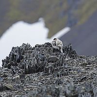 2014-07-11 11-17-50
