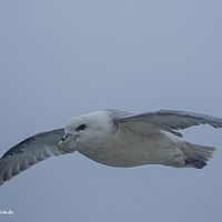 2014-07-11 14-26-34
