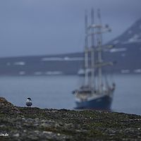 2014-07-11 21-51-38