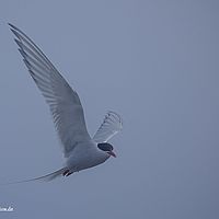 2014-07-11 22-17-13-2