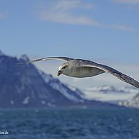 2014-07-13 15-34-21-5