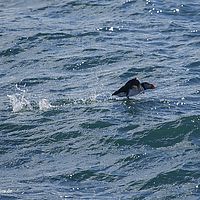 2014-07-13 16-08-29