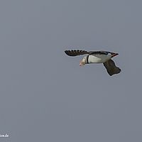 2014-07-14 18-45-36-2