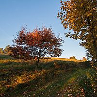 2013-10-19 08-11-28