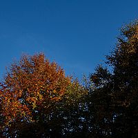 2013-10-19 09-14-29