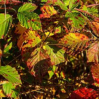 2013-10-19 09-14-52