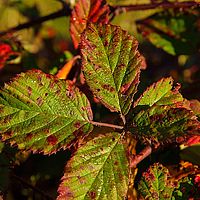 2013-10-19 09-15-29