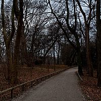 2012-03-12 17-44-29