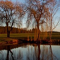 2012-03-16 17-53-39
