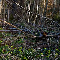 2012-04-02 17-44-18