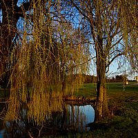 2012-04-02 18-11-25