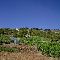 2012-08-18 17-55-22