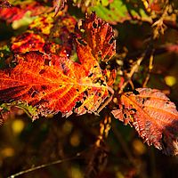 2013-10-19 09-15-48-2