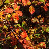 2013-10-19 09-16-11-2
