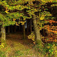 2013-10-22 17-12-10