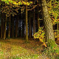 2013-10-22 17-12-27