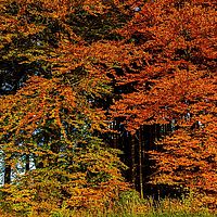 2013-10-22 17-13-50