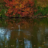 2013-10-22 17-20-16