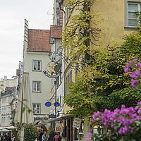 2014-10-25 13-31-17