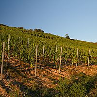 2012-08-18 20-05-13
