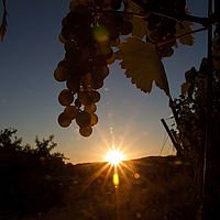 2012-08-18 20-12-29